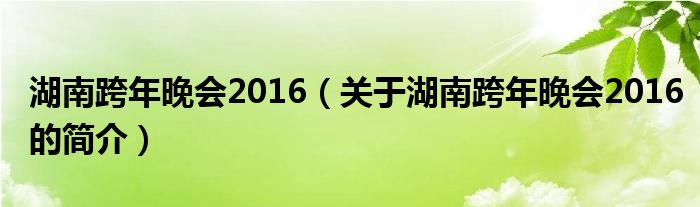 湖南跨年晚會2016（關于湖南跨年晚會2016的簡介）