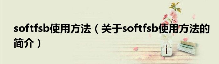 softfsb使用方法（關(guān)于softfsb使用方法的簡(jiǎn)介）