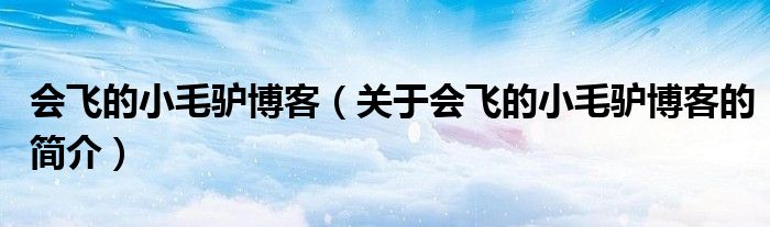 會(huì)飛的小毛驢博客（關(guān)于會(huì)飛的小毛驢博客的簡(jiǎn)介）