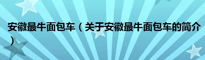 安徽最牛面包車（關(guān)于安徽最牛面包車的簡介）