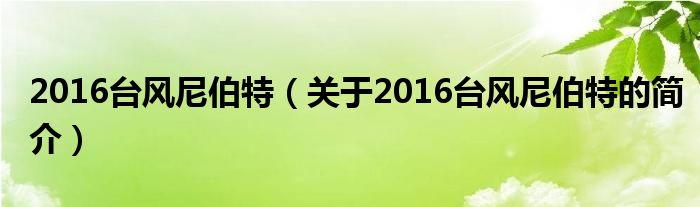 2016臺風(fēng)尼伯特（關(guān)于2016臺風(fēng)尼伯特的簡介）