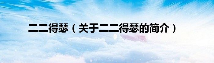 二二得瑟（關(guān)于二二得瑟的簡(jiǎn)介）