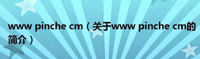 www pinche cm（關(guān)于www pinche cm的簡介）