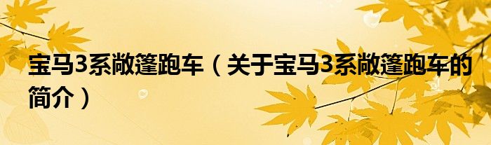 寶馬3系敞篷跑車（關(guān)于寶馬3系敞篷跑車的簡(jiǎn)介）