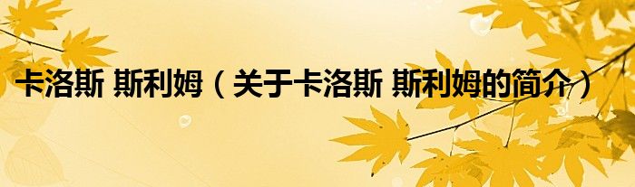 卡洛斯 斯利姆（關(guān)于卡洛斯 斯利姆的簡(jiǎn)介）