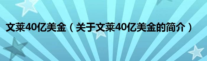 文萊40億美金（關(guān)于文萊40億美金的簡(jiǎn)介）