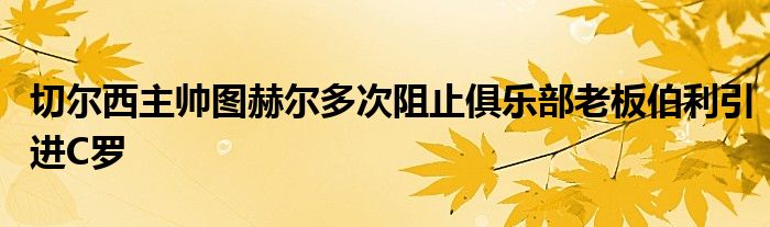 切爾西主帥圖赫爾多次阻止俱樂部老板伯利引進C羅