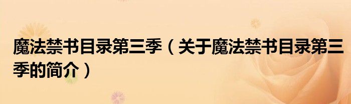 魔法禁書目錄第三季（關(guān)于魔法禁書目錄第三季的簡介）