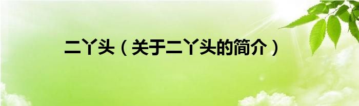 二丫頭（關(guān)于二丫頭的簡(jiǎn)介）