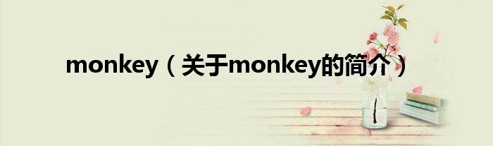 monkey（關于monkey的簡介）