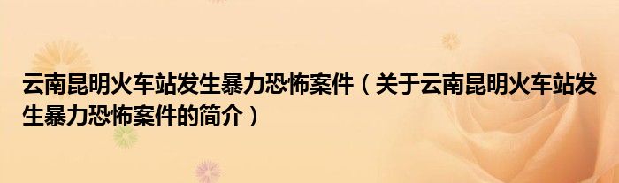 云南昆明火車站發(fā)生暴力恐怖案件（關(guān)于云南昆明火車站發(fā)生暴力恐怖案件的簡(jiǎn)介）