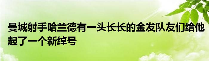 曼城射手哈蘭德有一頭長長的金發(fā)隊(duì)友們給他起了一個新綽號