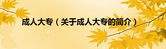 成人大專（關(guān)于成人大專的簡(jiǎn)介）