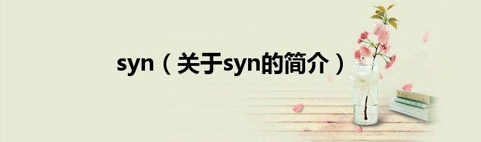 syn（關于syn的簡介）