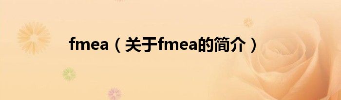 fmea（關(guān)于fmea的簡(jiǎn)介）