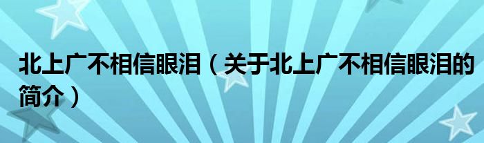 北上廣不相信眼淚（關(guān)于北上廣不相信眼淚的簡(jiǎn)介）