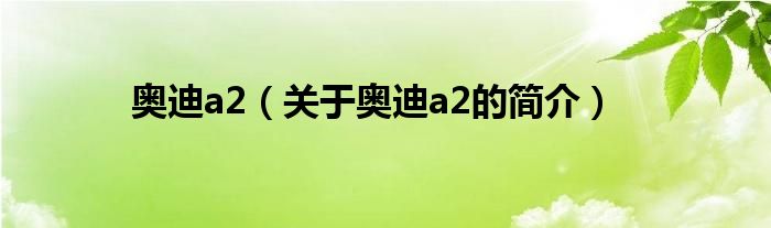 奧迪a2（關于奧迪a2的簡介）