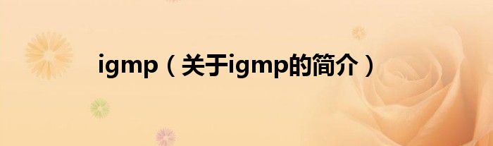 igmp（關于igmp的簡介）