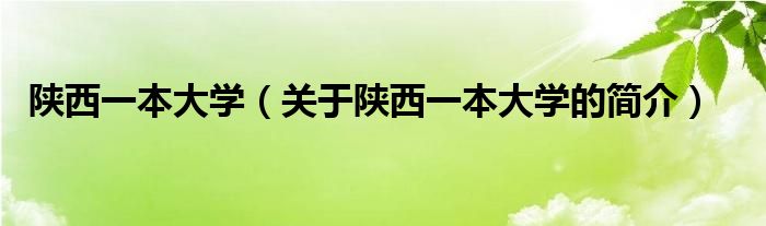 陜西一本大學(xué)（關(guān)于陜西一本大學(xué)的簡(jiǎn)介）