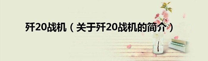 殲20戰(zhàn)機（關(guān)于殲20戰(zhàn)機的簡介）