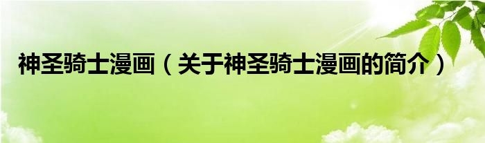 神圣騎士漫畫（關于神圣騎士漫畫的簡介）