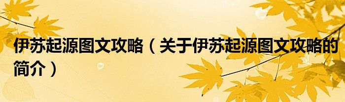 伊蘇起源圖文攻略（關(guān)于伊蘇起源圖文攻略的簡介）