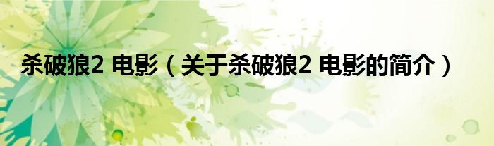 殺破狼2 電影（關(guān)于殺破狼2 電影的簡介）