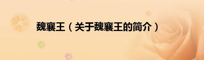 魏襄王（關(guān)于魏襄王的簡(jiǎn)介）