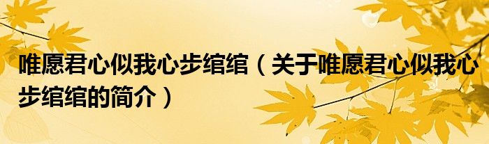 唯愿君心似我心步綰綰（關(guān)于唯愿君心似我心步綰綰的簡(jiǎn)介）