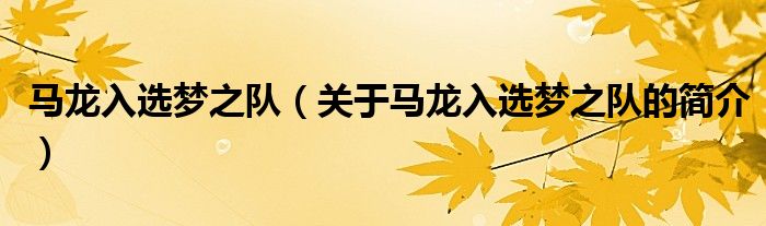 馬龍入選夢之隊（關(guān)于馬龍入選夢之隊的簡介）