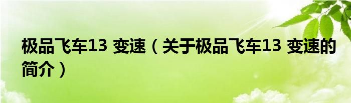 極品飛車(chē)13 變速（關(guān)于極品飛車(chē)13 變速的簡(jiǎn)介）