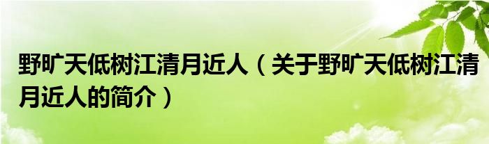 野曠天低樹(shù)江清月近人（關(guān)于野曠天低樹(shù)江清月近人的簡(jiǎn)介）