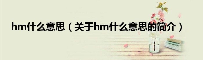 hm什么意思（關(guān)于hm什么意思的簡介）