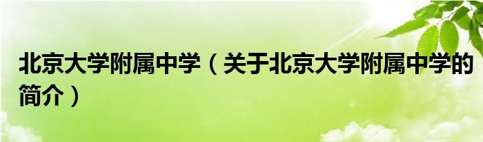 北京大學附屬中學（關(guān)于北京大學附屬中學的簡介）