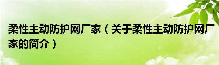 柔性主動防護網(wǎng)廠家（關(guān)于柔性主動防護網(wǎng)廠家的簡介）