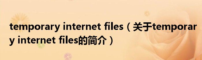 temporary internet files（關(guān)于temporary internet files的簡(jiǎn)介）