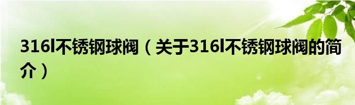 316l不銹鋼球閥（關(guān)于316l不銹鋼球閥的簡介）