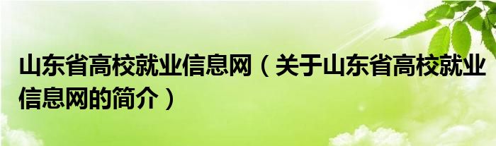 山東省高校就業(yè)信息網(wǎng)（關(guān)于山東省高校就業(yè)信息網(wǎng)的簡介）