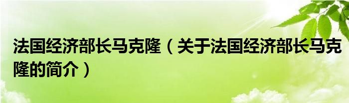 法國經濟部長馬克?。P于法國經濟部長馬克隆的簡介）