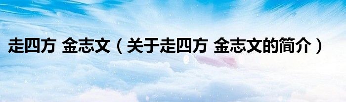 走四方 金志文（關(guān)于走四方 金志文的簡介）