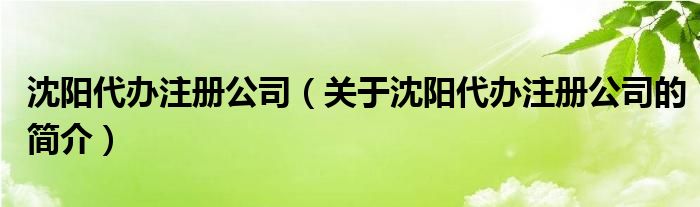 沈陽代辦注冊(cè)公司（關(guān)于沈陽代辦注冊(cè)公司的簡(jiǎn)介）