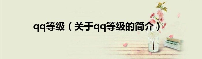 qq等級（關(guān)于qq等級的簡介）