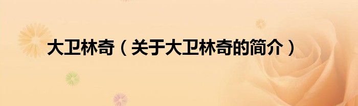 大衛(wèi)林奇（關(guān)于大衛(wèi)林奇的簡介）