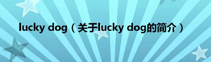 lucky dog（關(guān)于lucky dog的簡(jiǎn)介）