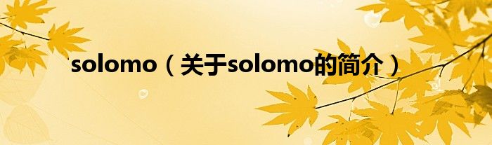 solomo（關(guān)于solomo的簡(jiǎn)介）