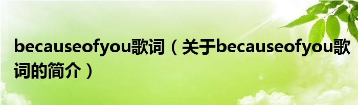 becauseofyou歌詞（關(guān)于becauseofyou歌詞的簡介）