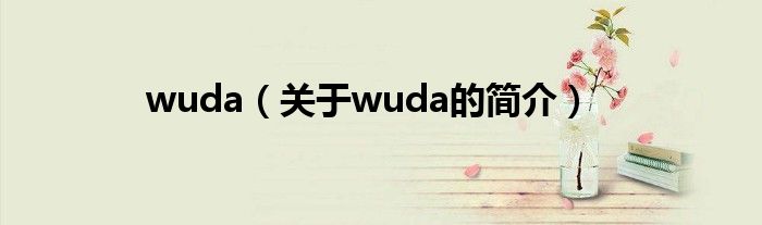 wuda（關(guān)于wuda的簡介）