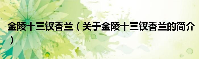 金陵十三釵香蘭（關(guān)于金陵十三釵香蘭的簡(jiǎn)介）