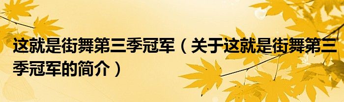 這就是街舞第三季冠軍（關(guān)于這就是街舞第三季冠軍的簡(jiǎn)介）