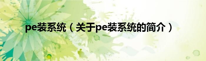 pe裝系統(tǒng)（關(guān)于pe裝系統(tǒng)的簡(jiǎn)介）